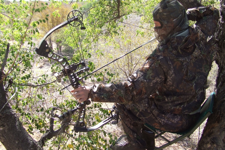 Bow Hunting South Africa - Matlabas Game Hunters