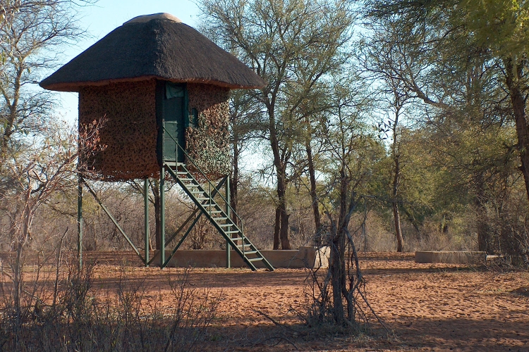 Bow Hunting South Africa - Matlabas Game Hunters