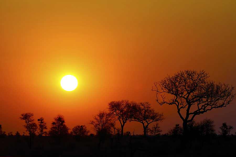 Kruger National Park Sunset