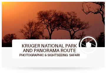 Kruger National Park and Panorama Route Tours and Safaris in Africa