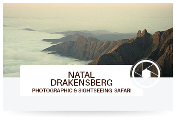 Natal Drakensberg Tours and Safaris in Africa