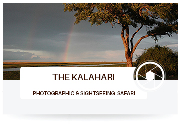 The Kalahari Tours and Safaris in Africa
