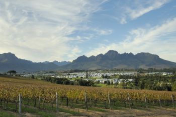 Cape Winelands