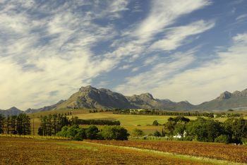 Cape Winelands