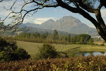 Cape Winelands