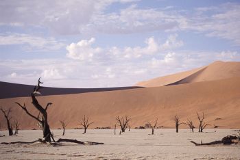 The Namib
