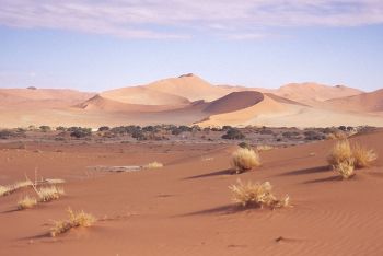 The Namib
